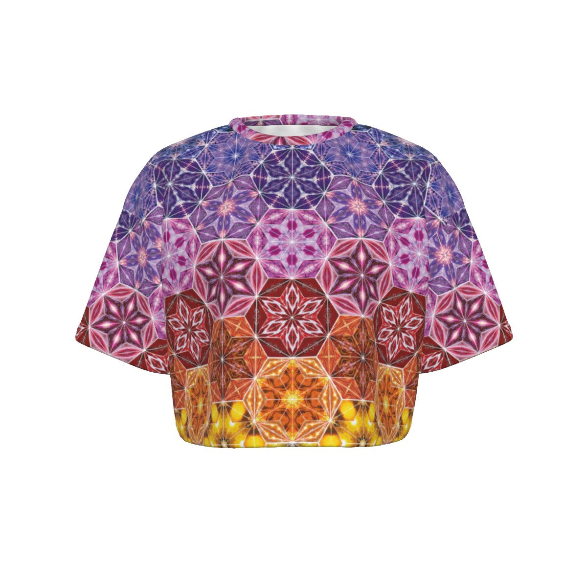 THE MOTHERSHIP EARTH CROP TOP