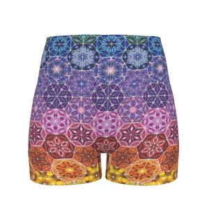 THE MOTHERSHIP EARTH BOOTY SHORTS
