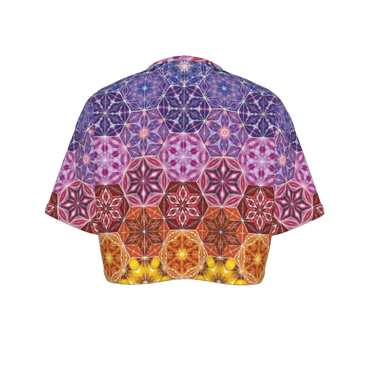 THE MOTHERSHIP EARTH CROP TOP